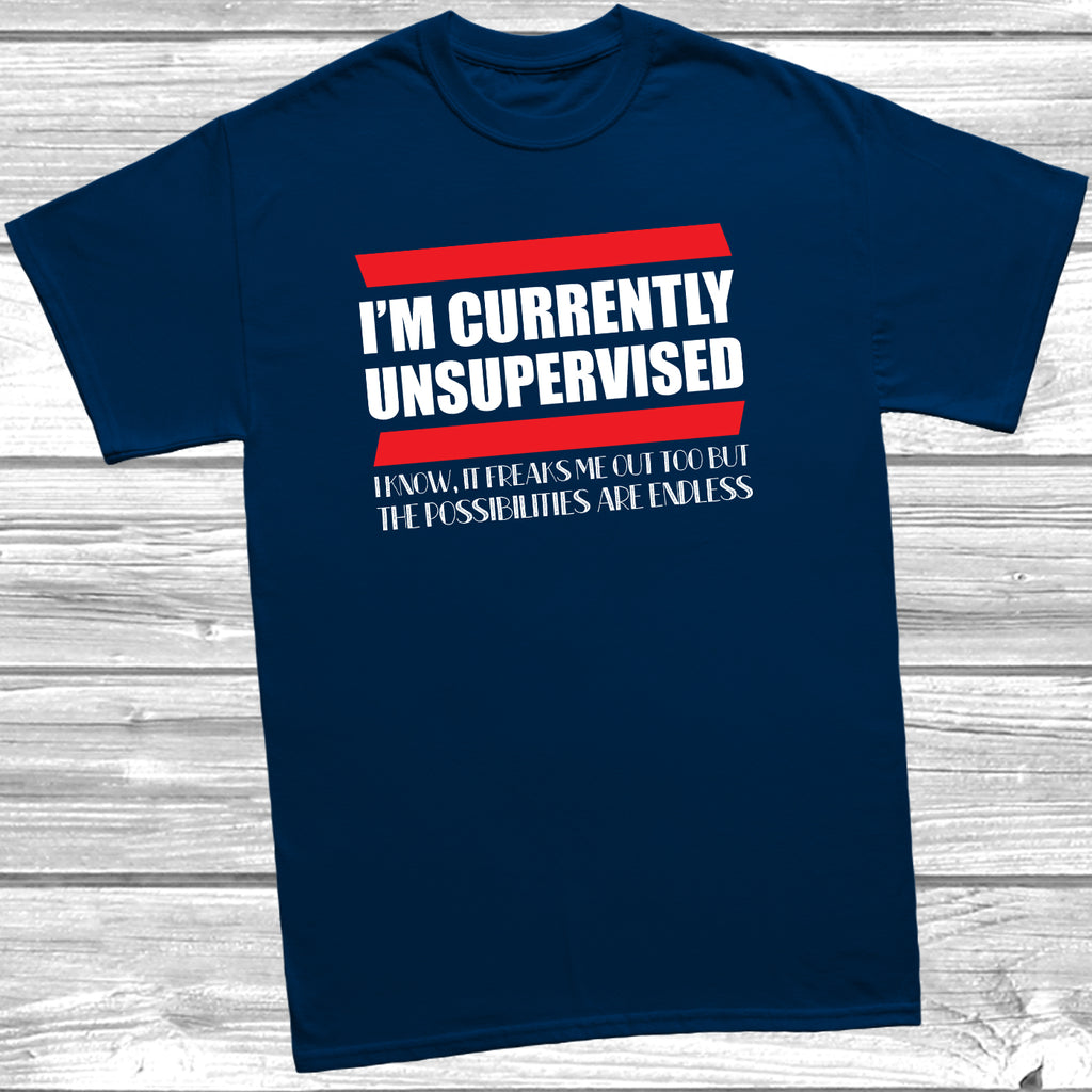 sarcastic slogan t shirt cheeky humour tee