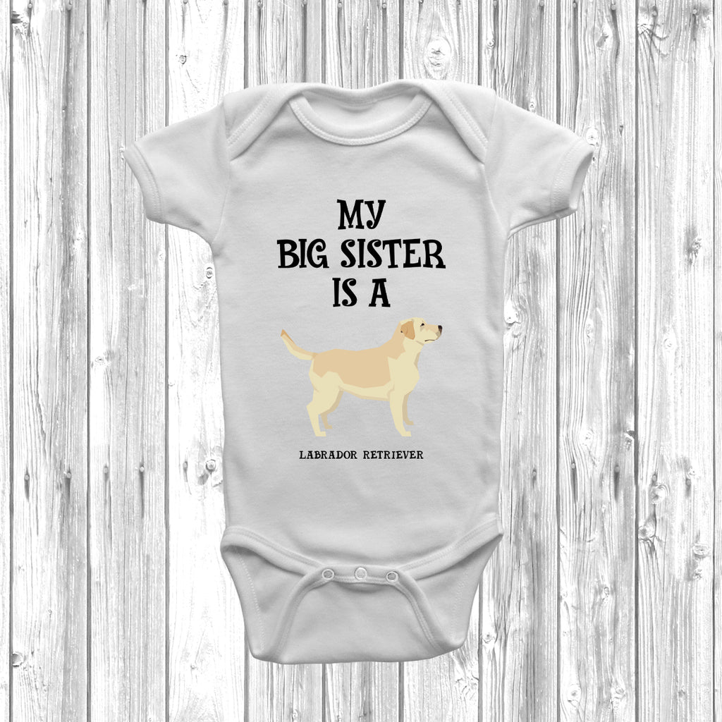 baby clothing labrador design newborn outfit