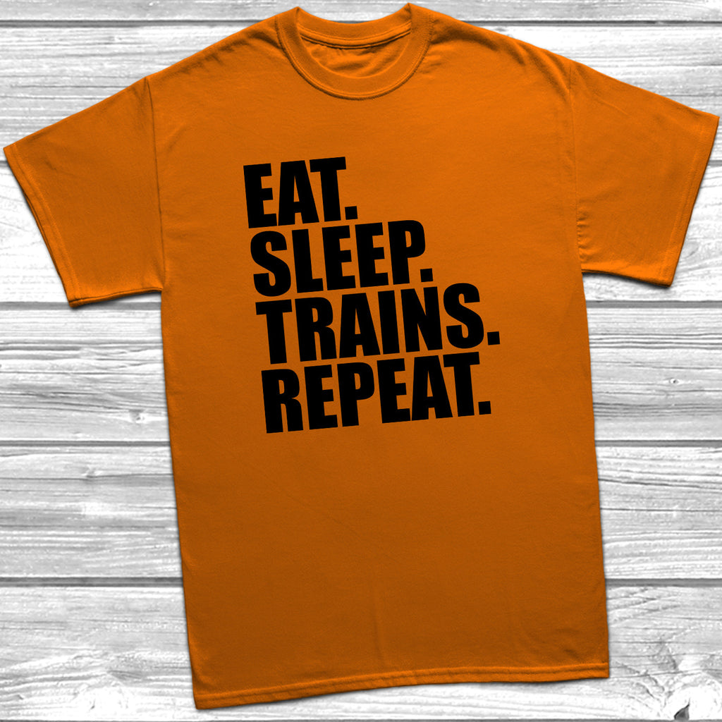 Get trendy with Eat Sleep Trains Repeat T-Shirt - T-Shirt available at DizzyKitten. Grab yours for £8.99 today!
